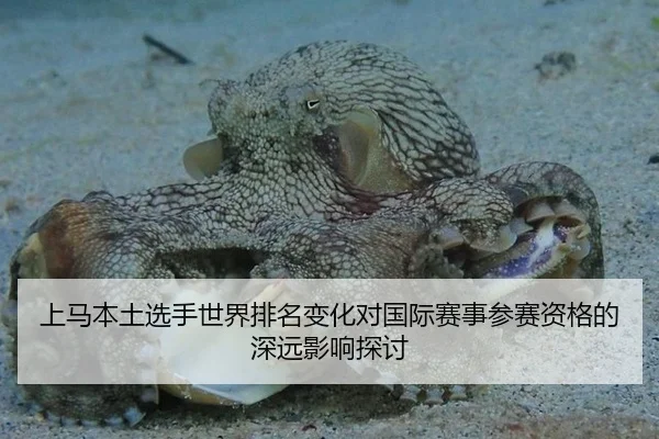 上马本土选手世界排名变化对国际赛事参赛资格的深远影响探讨